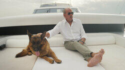 Lucky Dog Lucky Dog