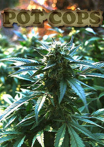 Pot Cops Pot Cops