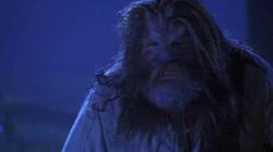 The Beast of Basra The Beast of Basra