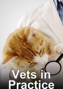 Vets in Practice Vets in Practice