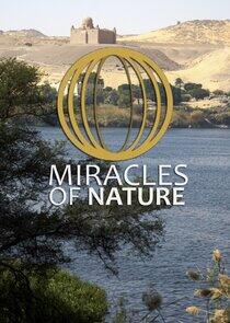Miracles of Nature Miracles of Nature