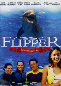 Flipper Flipper