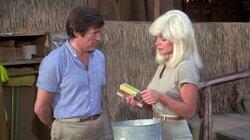 The Love Doctor / The Pleasure Palace / Possessed