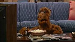 A Little Bit of Soap A Little Bit of Soap