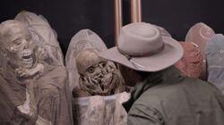 The Cursed Mummy Tribe The Cursed Mummy Tribe