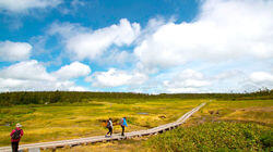 Hachimantai: Timeless Landscape, Healing Water Hachimantai: Timeless Landscape, Healing Water
