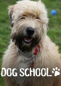Dog School Dog School