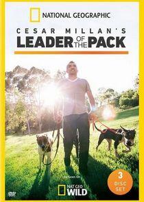 Cesar Millan's Leader of the Pack Cesar Millan's Leader of the Pack