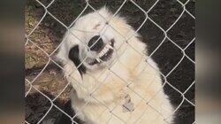 Best Defense is a Good Fence Best Defense is a Good Fence