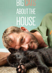 Big Cats About the House Big Cats About the House
