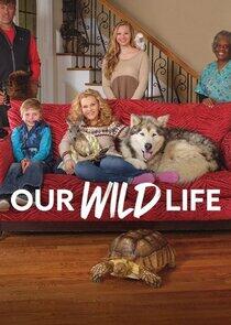 Our Wild Life Our Wild Life