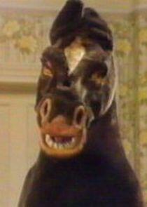 Dobbin the Pantomime Horse Dobbin the Pantomime Horse