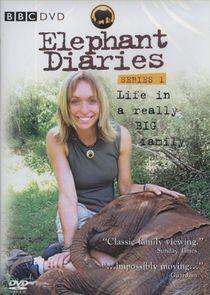 Elephant Diaries Elephant Diaries