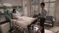Amor confeso Amor confeso