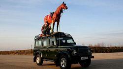 Free Diving, Horsepower and Antimatter Free Diving, Horsepower and Antimatter