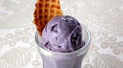 Austin Sweet Freeze Austin Sweet Freeze