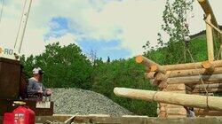 Destructive Forces Destructive Forces
