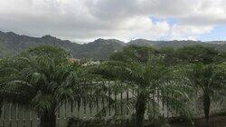 Soon-to-Be Parents Look for House on Oahu Soon-to-Be Parents Look for House on Oahu