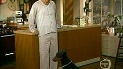 No Patsy, This Kelly