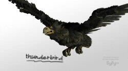 Haunted Lost City / Thunderbird Haunted Lost City / Thunderbird