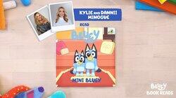 Mini Bluey Mini Bluey