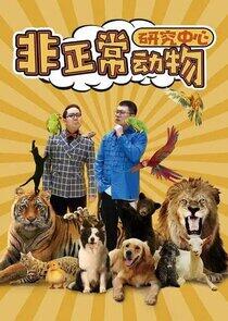 Fei Zheng Chang Dong Wu Yan Jiu Zong Xin - Season 1 Fei Zheng Chang Dong Wu Yan Jiu Zong Xin - Season 1