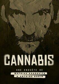 Cannabis : la série documentaire Cannabis : la série documentaire