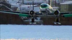 Ski Plane Ski Plane