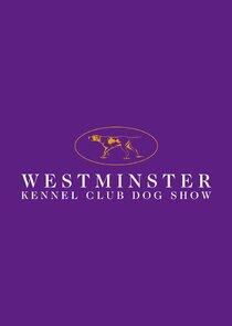 Westminster Kennel Club Dog Show Westminster Kennel Club Dog Show