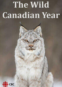 The Wild Canadian Year The Wild Canadian Year