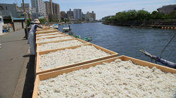 Shonan: Living the Slow Life on the Coast Shonan: Living the Slow Life on the Coast