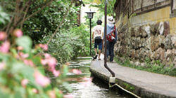 Gujo-hachiman: Dancing in the City of Water Gujo-hachiman: Dancing in the City of Water