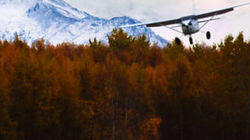 Trapper Creek Tragedy Trapper Creek Tragedy
