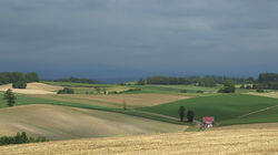 Biei, Hokkaido: Layers of Beauty in the Patchwork Hills Biei, Hokkaido: Layers of Beauty in the Patchwork Hills