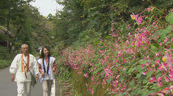 Chichibu: An Autumn Pilgrimage Chichibu: An Autumn Pilgrimage