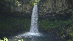 Izu & Odawara: The Senses of Summer Izu & Odawara: The Senses of Summer