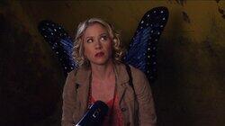 The Butterflies The Butterflies