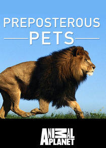 Preposterous Pets Preposterous Pets