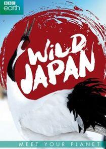 Japan: Earth's Enchanted Islands - Season 1 Japan: Earth's Enchanted Islands - Season 1