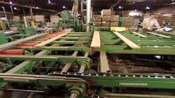 3D Commercial Signs, Hardwood Floors, Corrugated Polyethylene Pipe, Mattresses 3D Commercial Signs, Hardwood Floors, Corrugated Polyethylene Pipe, Mattresses
