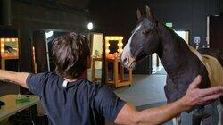 Horsing Around! Horsing Around!