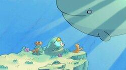 You've Got Whale You've Got Whale