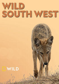 Wild South West Wild South West