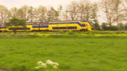 Nederland Nederland