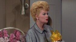 Lucy Is a Process Server Lucy Is a Process Server