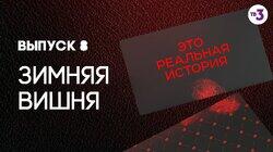 Выпуск 08. Зимняя вишня Выпуск 08. Зимняя вишня
