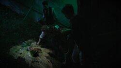 The Dark Dimension The Dark Dimension