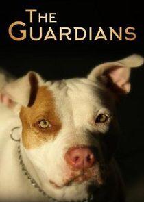 The Guardians The Guardians