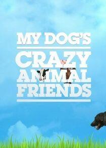 My Dog's Crazy Animal Friends My Dog's Crazy Animal Friends