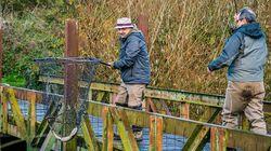 Pike: Norfolk Lakes Pike: Norfolk Lakes